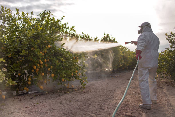 Best Ant Control  in Vails Gate, NY